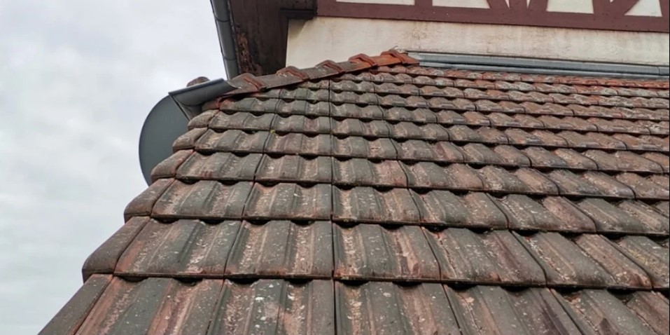 Toiture couverte de mousse avant démoussage, Sundgau (68)